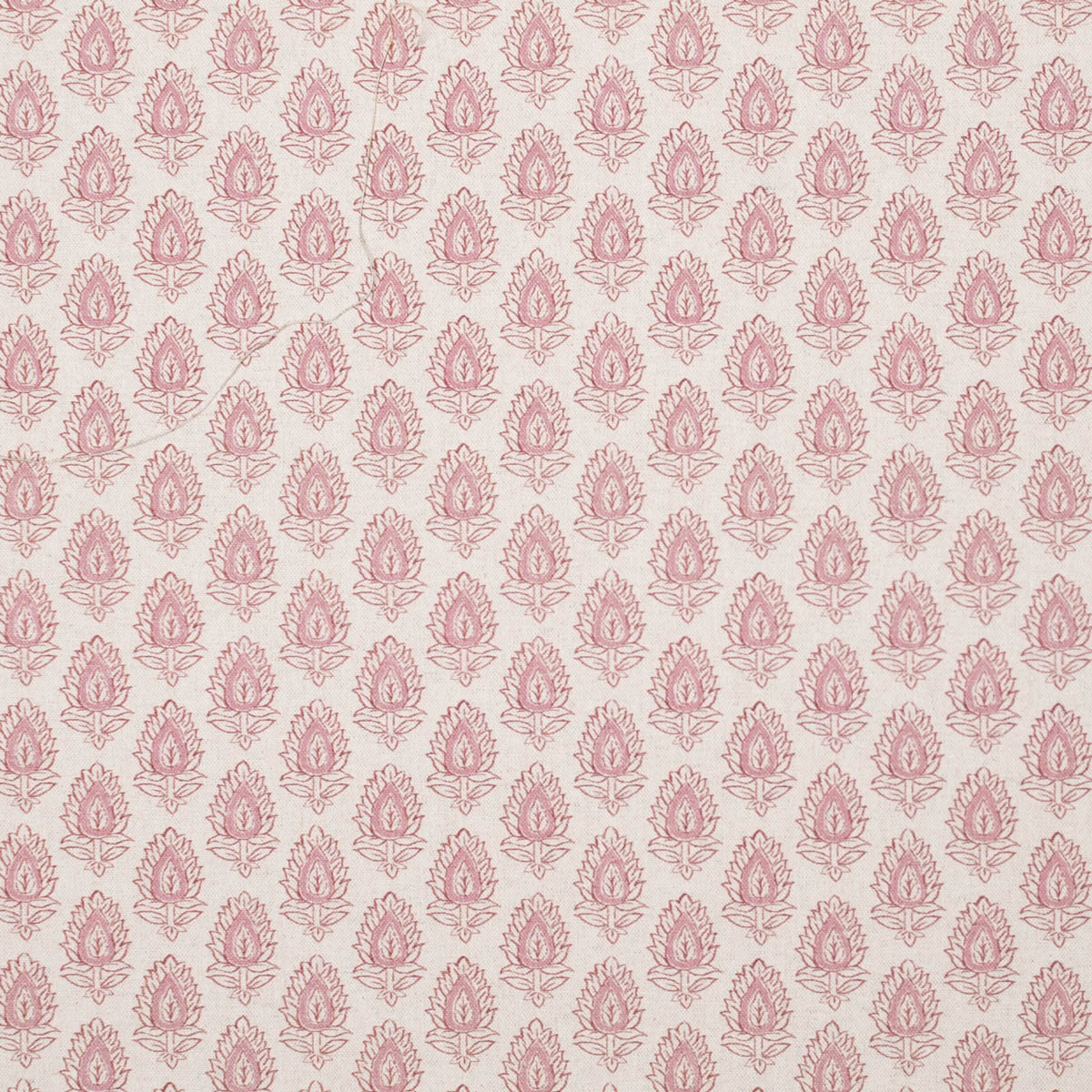Loto Rosa